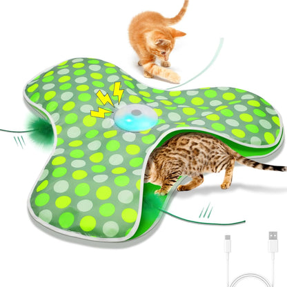 Interactive Cat Toys for Indoor Cats,Hide-N-Seek Game,Cat Enrichment Toy